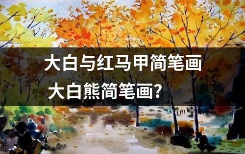 大白与红马甲简笔画 大白熊简笔画？