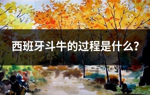 西班牙斗牛的过程是什么？