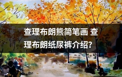 查理布朗熊简笔画 查理布朗纸尿裤介绍？