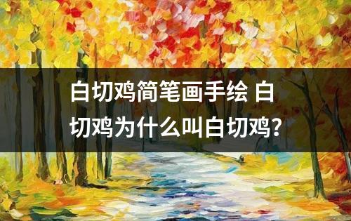 白切鸡简笔画手绘 白切鸡为什么叫白切鸡？