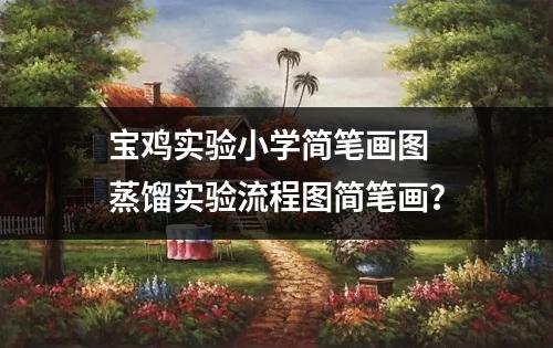 宝鸡实验小学简笔画图 蒸馏实验流程图简笔画？