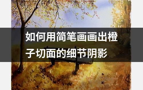 如何用简笔画画出橙子切面的细节阴影