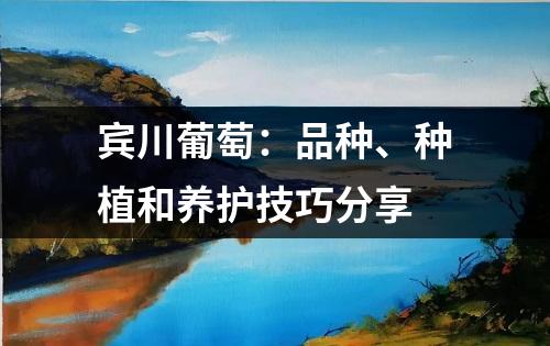 宾川葡萄：品种、种植和养护技巧分享