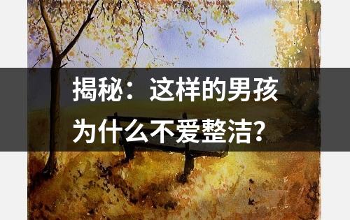 揭秘：这样的男孩为什么不爱整洁？