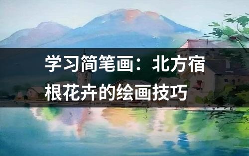 学习简笔画：北方宿根花卉的绘画技巧