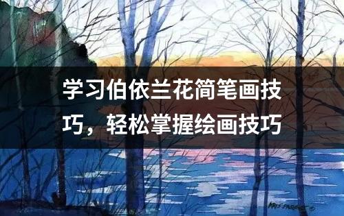 学习伯依兰花简笔画技巧，轻松掌握绘画技巧