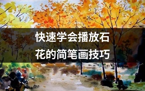 快速学会播放石花的简笔画技巧