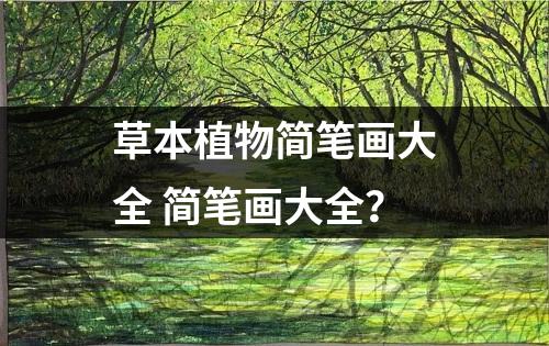 草本植物简笔画大全 简笔画大全？