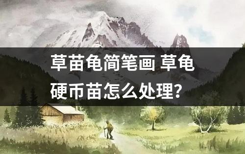 草苗龟简笔画 草龟硬币苗怎么处理？