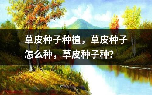 草皮种子种植，草皮种子怎么种，草皮种子种？