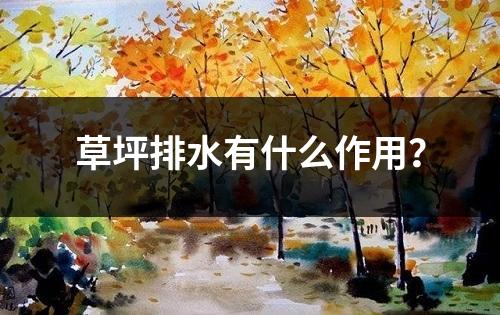 草坪排水有什么作用？