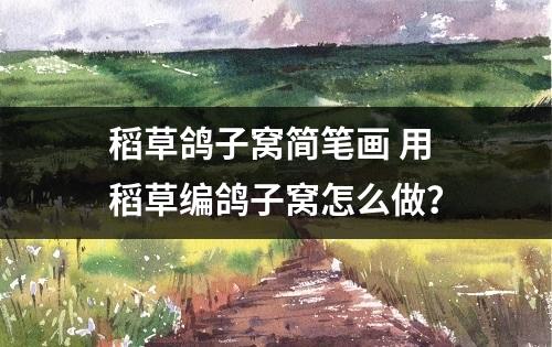 稻草鸽子窝简笔画 用稻草编鸽子窝怎么做？