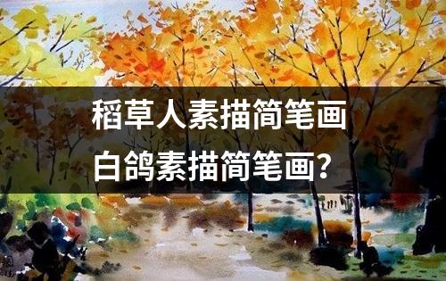 稻草人素描简笔画 白鸽素描简笔画？