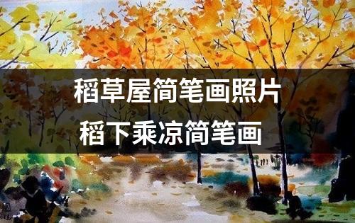 稻草屋简笔画照片 稻下乘凉简笔画