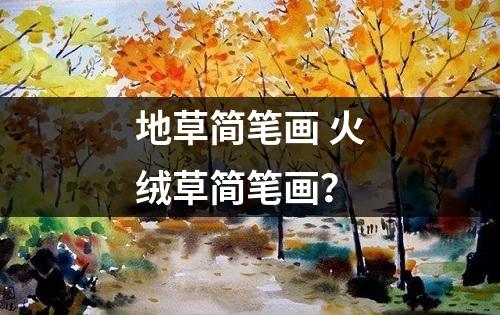 地草简笔画 火绒草简笔画？