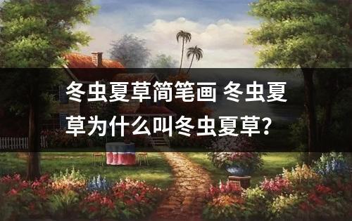 冬虫夏草简笔画 冬虫夏草为什么叫冬虫夏草？