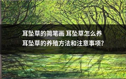 耳坠草的简笔画 耳坠草怎么养耳坠草的养殖方法和注意事项？