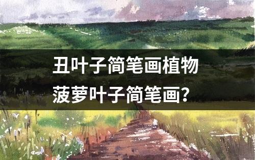 丑叶子简笔画植物 菠萝叶子简笔画？