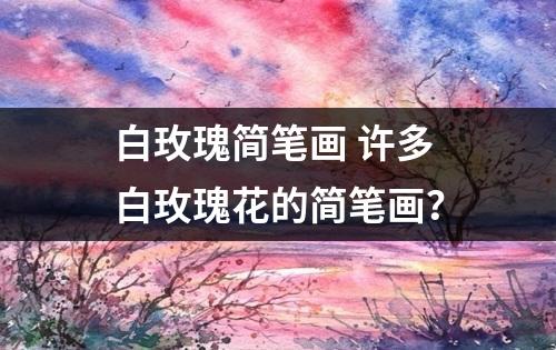 白玫瑰简笔画 许多白玫瑰花的简笔画？