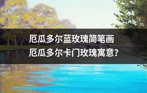 厄瓜多尔蓝玫瑰简笔画 厄瓜多尔卡门玫瑰寓意？