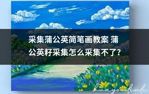 采集蒲公英简笔画教案 蒲公英籽采集怎么采集不了？