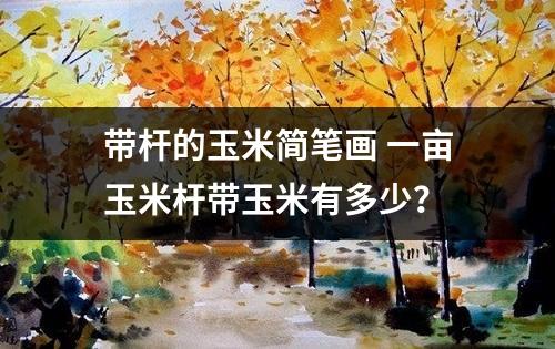 带杆的玉米简笔画 一亩玉米杆带玉米有多少？