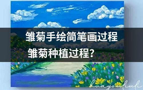 雏菊手绘简笔画过程 雏菊种植过程？