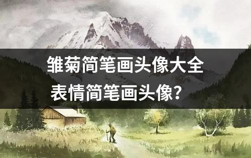 雏菊简笔画头像大全 表情简笔画头像？