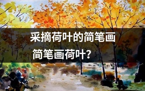 采摘荷叶的简笔画 简笔画荷叶？