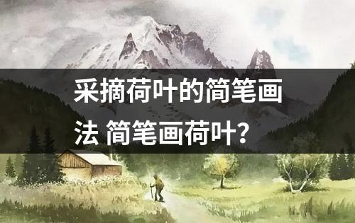 采摘荷叶的简笔画法 简笔画荷叶？