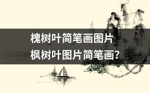 槐树叶简笔画图片 枫树叶图片简笔画？