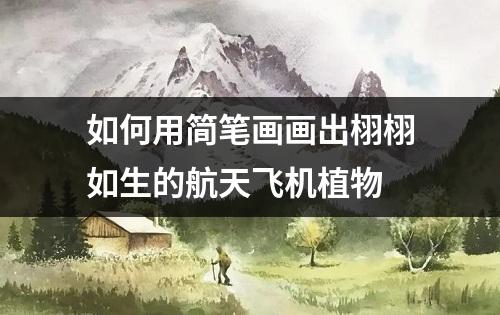 如何用简笔画画出栩栩如生的航天飞机植物