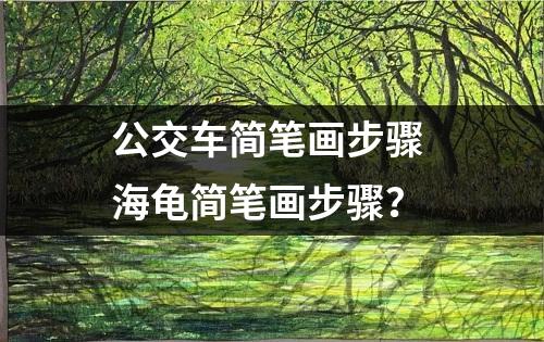 公交车简笔画步骤 海龟简笔画步骤？