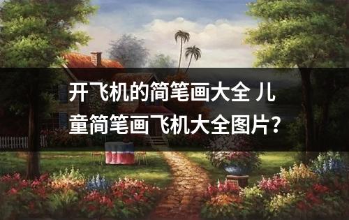 开飞机的简笔画大全 儿童简笔画飞机大全图片？