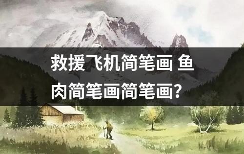 救援飞机简笔画 鱼肉简笔画简笔画？