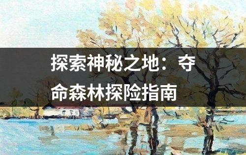 探索神秘之地：夺命森林探险指南