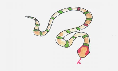9岁绘画入门 创意小学生彩色简笔画蛇怎么画
