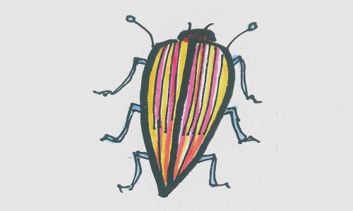 四年级优秀手绘画图片一等奖 超萌彩色简笔画小甲虫怎么画