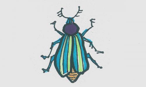 6一8岁儿童图画详细过程第一名 简单又好看入门简笔画甲虫怎么画