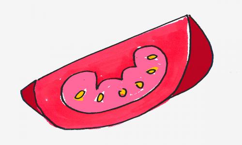 1～6年级儿童学画图解 可爱小学生简笔画西红柿的画法