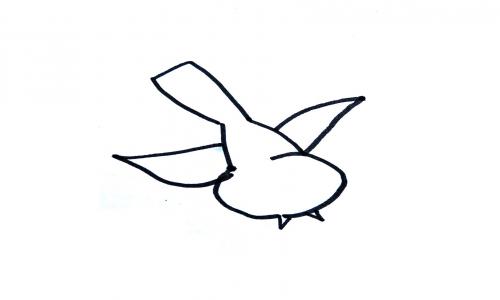愤怒的小鸟简笔画画法图片步骤